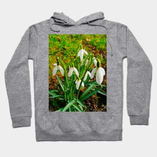 Beautiful Snowdrops In The Grass Fields Hoodie